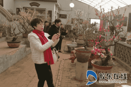 萊州市金都社區開展喜迎“三八”春游梅園活動