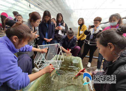 八角灣藍(lán)色種業(yè)硅谷 “種”出海洋產(chǎn)業(yè)“生態(tài)圈”