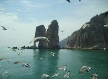 十一：長島休閑二日游