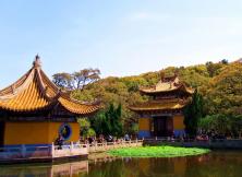 【春節祈福】普陀山祈福+奉化溪口+雁蕩山雙飛五日