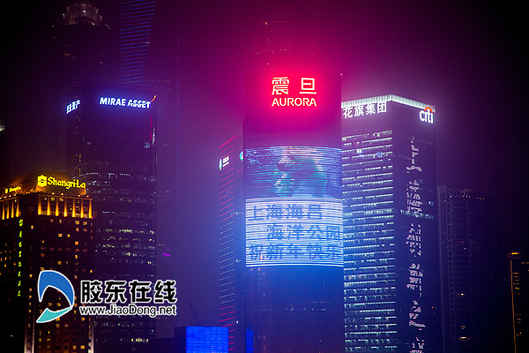 上海海昌海洋公園名稱正式確定  萬張?bào)w驗(yàn)票免費(fèi)派送