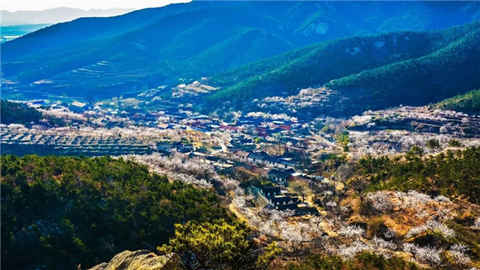 里口山村再添“國字號”殊榮 獲評“全國鄉(xiāng)村治理示范村”榮譽稱號