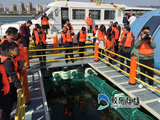 媒眼看煙臺：復(fù)合型海洋牧場水上水下大有文章