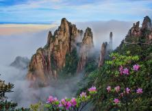 江西龍虎山、三清山、婺源、廬山、景德鎮、滕王閣雙飛六日