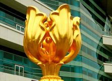 港澳純玩雙飛5日游 ！！-含迪斯尼