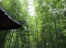 無(wú)極鬼谷、日照竹洞天、東夷小鎮(zhèn)二日游