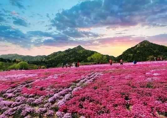 qq圖片20180429230810