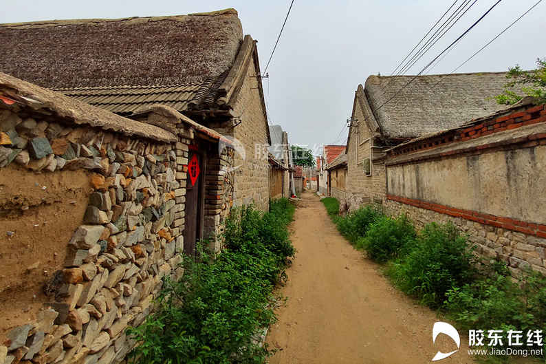 高清組圖：走近童話世界中的草屋——煙臺萊州海草房