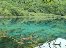 張家界、昆明、麗江、西雙版納、黃果樹專列16日游