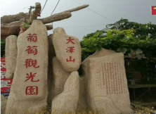 大澤山葡萄采摘、觀光索道、紅高粱影視基地大巴二日游