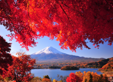 嘉華旅游開業大促--日本本州六日游全日空