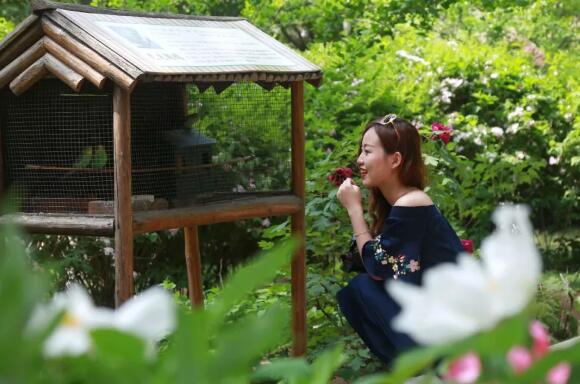 qq截圖20180516142218