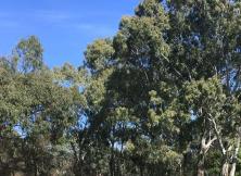 一價全含德法意瑞4國13日MU