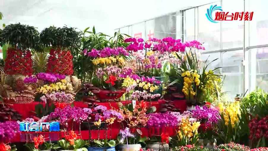 過年買花？這個花卉市場挑花你的眼