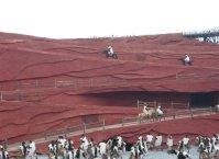 趣?敦煌 鳴沙山 月牙泉 ? 玉門關(guān) ? 雅丹魔鬼城 ? 七彩丹霞 ? 嘉峪關(guān)雙飛六日游