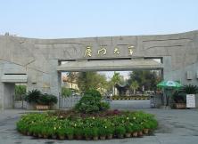 【暑假游廈門】廈門科技館、廈門大學、鼓浪嶼、南普陀寺、夢想起航廈門研學6日游