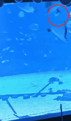 微信圖片_20211013161629