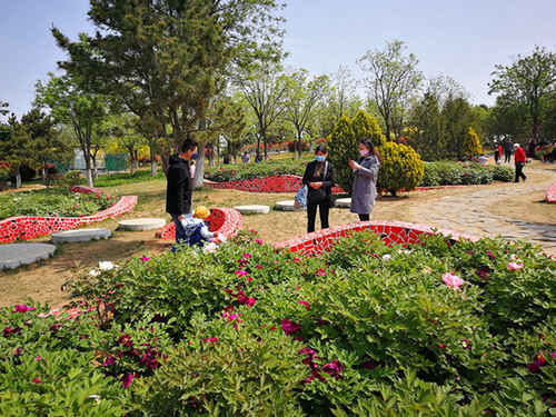 五一假期煙臺植物園景區游客接待平穩有序