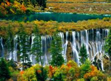 心有所屬----重慶?九寨溝?黃龍?雙飛雙動七日游（JRFC）