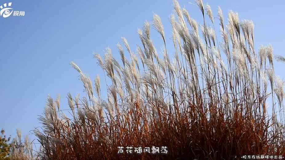 360截圖20191119084153092