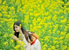 {清明節(jié)}揚(yáng)州瘦西湖、李中水上森林公園+興化油菜花三日游 {清明節(jié)}揚(yáng)州瘦西湖、李中水上森林公園+興化油菜花三日游