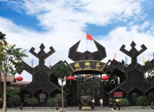 戀戀海島雙飛六