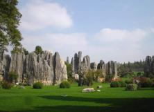 【云南】好奇云南四飛八