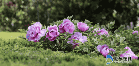 微信圖片_20200502082424