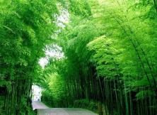 【2021暑假出游】日照九仙山大峽谷+東夷小鎮+月湖山水+竹洞天大巴二日游