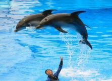 蓬萊海底世界純玩一日游