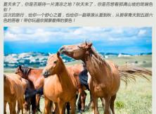 【綠野仙蹤暑期游】烏蘭布統+錫林郭勒+張北草原+古北水鎮雙動純玩5日游