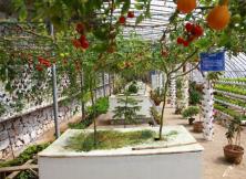 【三月周邊游】威海威高海洋公園一日游