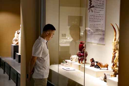 我跟黨走·家鄉(xiāng)蝶變丨羊文化博物館 帶您領(lǐng)略羊文化的豐富內(nèi)涵