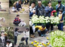 【超值】廣州長隆野生動物園、歡樂世界、肇慶鼎湖山、七星巖親子五日游