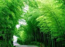 【7月周邊游】無(wú)極鬼谷、日照竹洞天、東夷小鎮(zhèn)二日游（宿小鎮(zhèn)客棧）