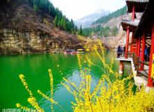 【暑期游清涼一“夏”】游醉美青州 賞絕美勝景-黃花溪.天緣谷.青州古城.青州博物館.井塘古村二日游