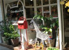 【賞花系列】江西+福建連線雙臥11日游