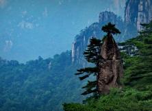 【8月游黃山】醉美婺源+險秀黃山+桃花源里西遞+第一秀水千島湖、湖光山色純玩雙飛五日游