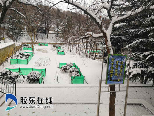 tim圖片20181207201731_副本