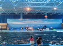 周邊：蓬萊海底世界純玩一日游