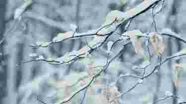 【鏡觀煙臺】你好！這里是“雪窩煙臺”！