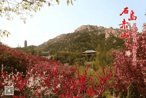 微信截圖_20190410125832