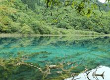 成都、都江堰、、九寨、黃龍 、樂山、峨眉雙飛8日游