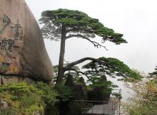 【9月游黃山】醉美婺源+險秀黃山+桃花源里西遞+第一秀水千島湖湖光山色純玩雙飛六日游