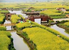 【清明假期】東關(guān)街·瘦西湖·李中水上森林 千垛油菜花·皮包水早茶 精品大巴三日游 【清明假期】東關(guān)街·瘦西湖·李中水上森林 千垛油菜花·皮包水早茶 精品大巴三日游