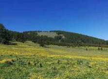 舌尖上的呼倫貝爾  邊城滿洲里、呼倫湖、 哈烏爾河、根河濕地公園 呼倫貝爾大草原、冰雪樂園VIP尊貴雙飛六日游