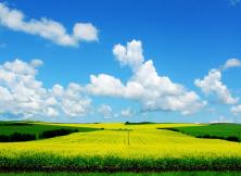 山海關、北戴河、哈爾濱、滿洲里、呼倫貝爾大草原、長白山、 丹東、鴨綠江、朝鮮新義州、沈陽 專列12日游