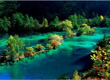 【2021至尊全景】成都、九寨溝、黃龍、樂山大佛、峨眉山純玩雙飛六日游 【2021至尊全景】成都、九寨溝、黃龍、樂山大佛、峨眉山純玩雙飛六日游