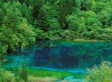 好吃懶游---九寨溝.黃龍.熊貓樂園.灌縣古城雙飛6