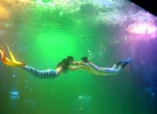 【清明節(jié)】蓬萊海底純玩一日游